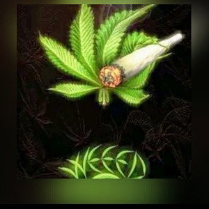  WEED 