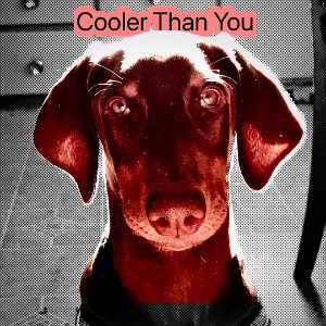 Cooler Than You… 