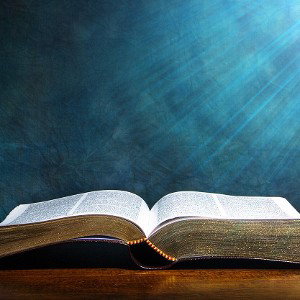bible is my favorite book!