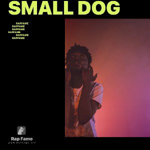 Small Dog