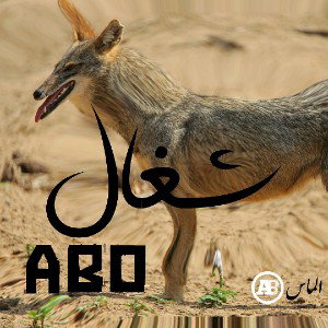 SHOGHAL