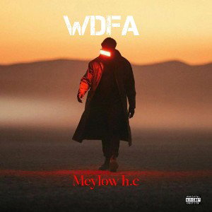 WDFA