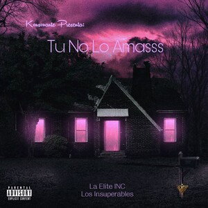 Tu No Lo Amasss - Konsonante