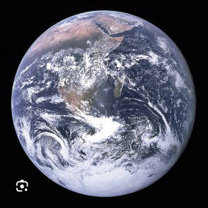 stop killing the earth we want to live 