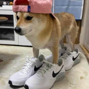 Snaggin yo bitch