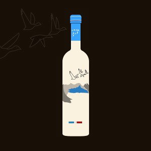 BOTTLE 2.0