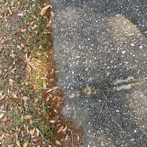 stuck in the middle 