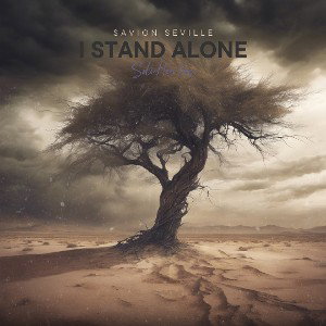 Savion Seville - break the bank 2024-07-08 14_59