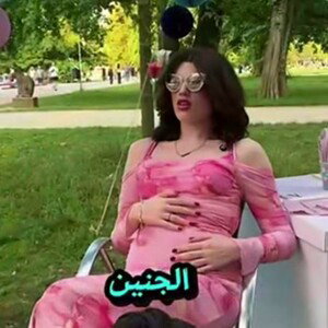 الجنين 