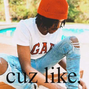cuz like (zig diss)
