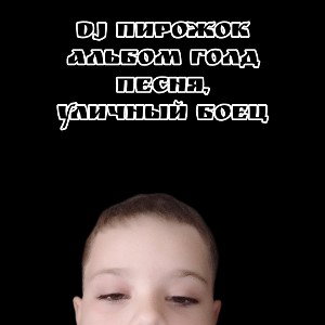 альбом голд песня уличный боец