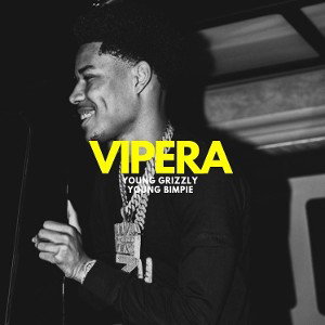 Vipera