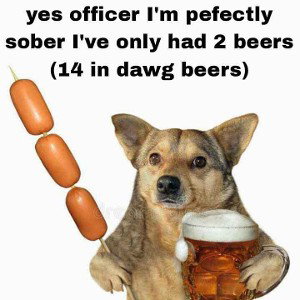 Not Sober 