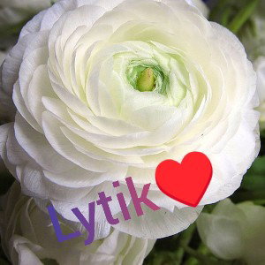  Lytik♥️-что же ты брат 