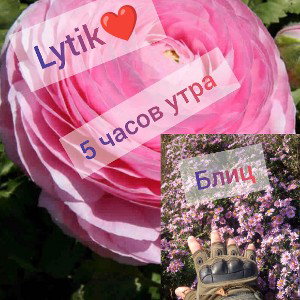 Lytik ❤️&Блиц-5 часов утра 