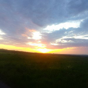 Блиц- с товарищем Асфальтом 