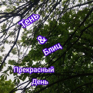          Тень & Блиц-прекрасный день