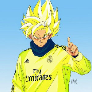 ninja sagrado