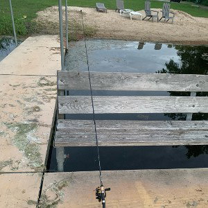 pro fish”n”