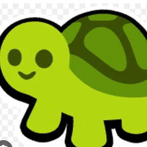 I once had a turtle, swimming in my tank
