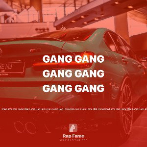gang gang