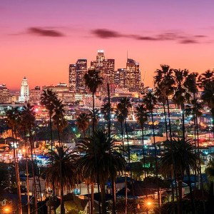 WE IN CALI (FEAT. BIGDINONOOB)