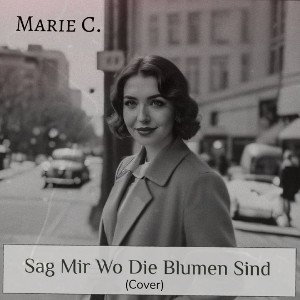 Sag Mir Wo Die Blumen Sind (cover)
