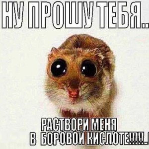 Mercury-Сколько