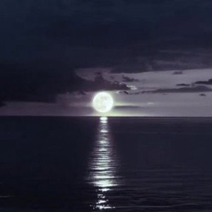 Moonlight Vibes