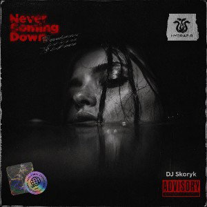 DJ Skoryk - Never Coming Down