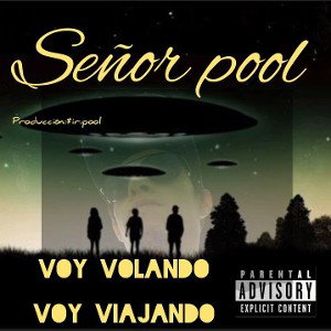 voy volando voy viajando