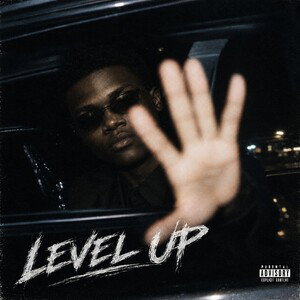 Level 