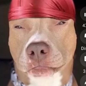 ppoooo