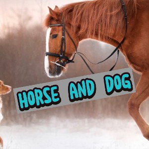 Horse and Dog