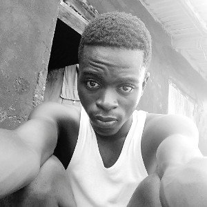 kin zaro