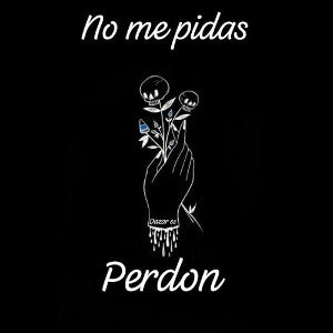 no me pidas perdon