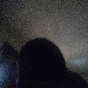 Readyy Louisibama - fake 
