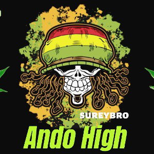 HIGH - SUREYBRO