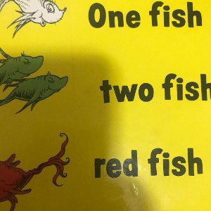 one fish two fish