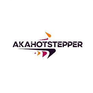 akahotstepper the king of the streets
