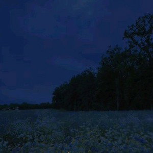 Ostatnia Noc