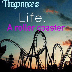Life a roller coaster 