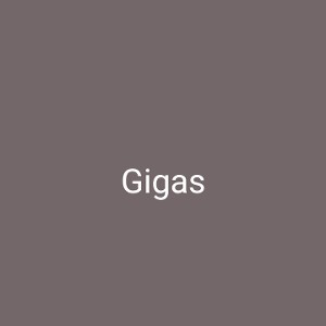 Els - Gigas ft Roma & Kidss
