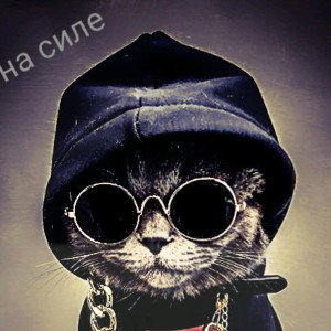 авторитеты
