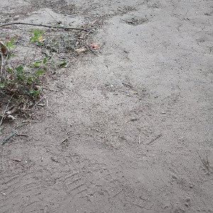 footprints