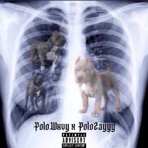 fightback freestyle PoloZayyy x PoloWxvy