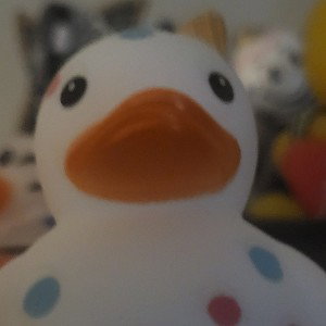 RUBBER DUCKY