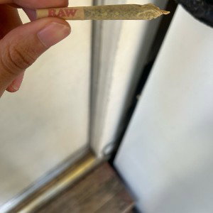 1300JayXKoa-Again