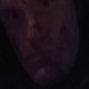 the ghost