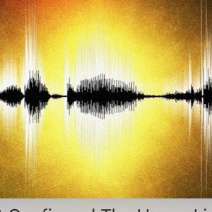 The speed of sound
